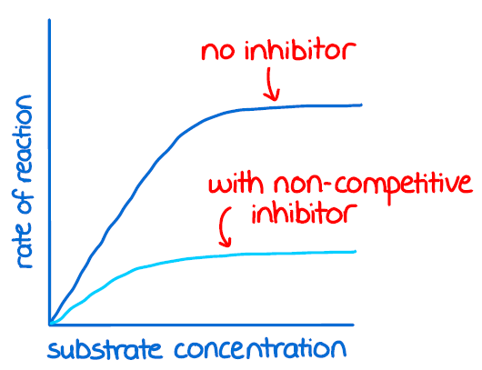<p>as the concentration of inhibitors increase, the rate of reaction decreases and fewer functional active sites are available for a reaction</p>