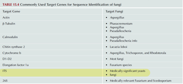 <p>These are examples of ?</p>