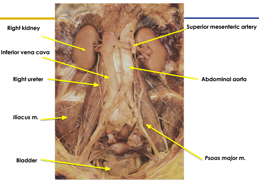 <p>DIAGRAM ON SLIDE 8</p>
