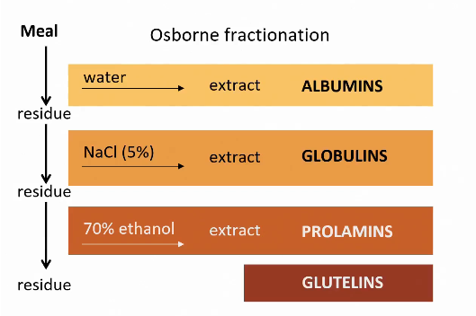 <p>Osborne fractionation</p><ul><li><p>Can help to identify different amino acids in protein.&nbsp;</p></li></ul><p></p>