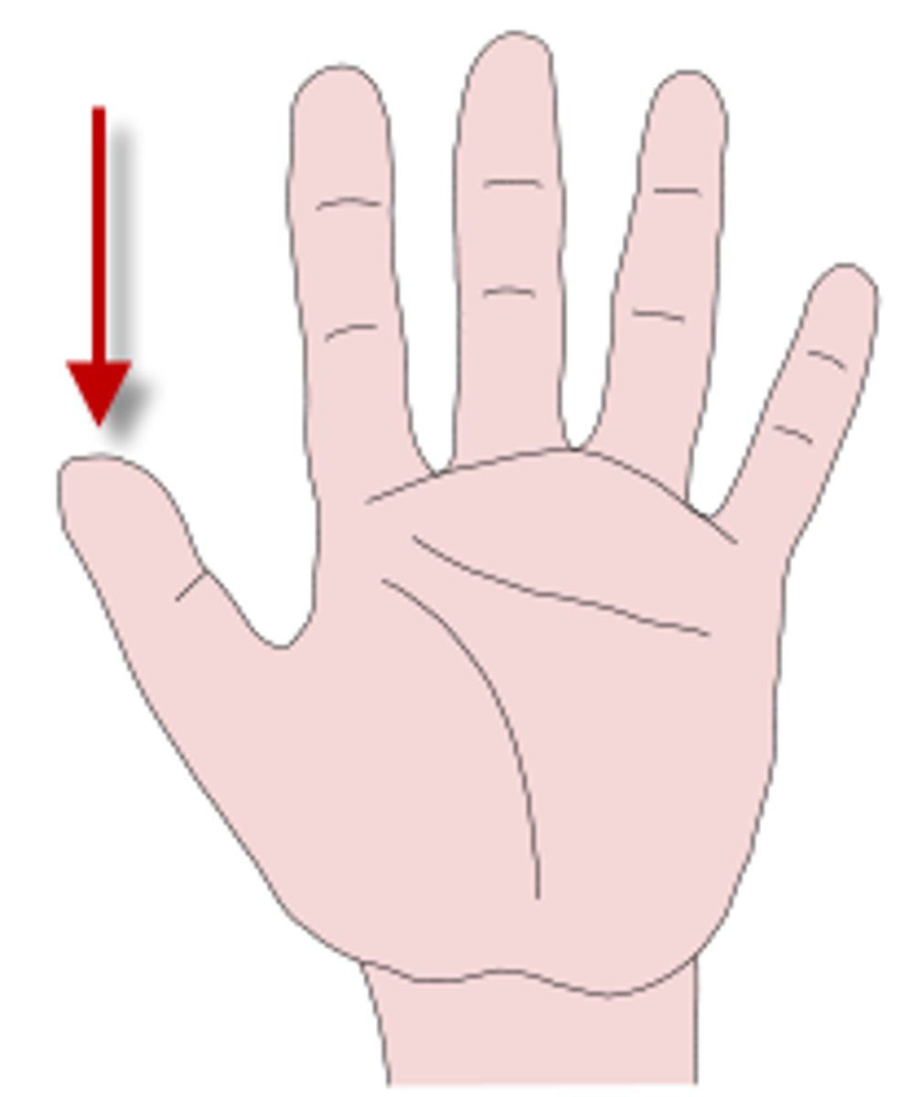 <p>thumb</p>