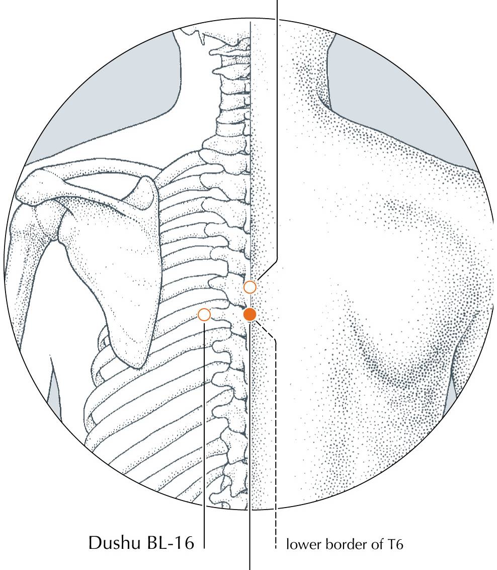 <p>DU-10</p>