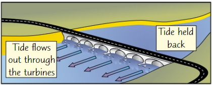 <ul><li><p><strong>Big dams</strong> built across<strong> river estuaries</strong>, with <strong>turbines</strong> in them</p></li><li><p>As <strong>tide comes in</strong>, it fills estuary to height of <strong>several metres</strong></p></li><li><p>Water can be allowed out through<strong> turbines</strong> at controlled speed</p></li><li><p>Energy is transferred from <strong>KE stores </strong>of water to <strong>KE store</strong> of turbine, and used to generate electricity</p></li></ul>