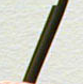 <p>Hair Shaft</p>
