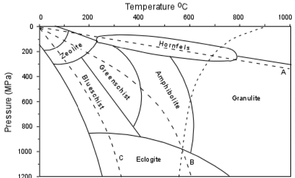 <p>what are the 4 dotted lines on this diagram</p>