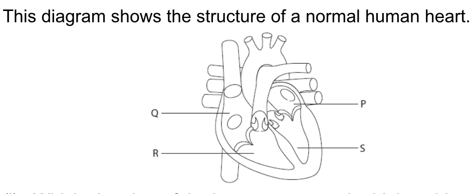 <p>Which chamber of the heart generates the highest blood pressure?</p>