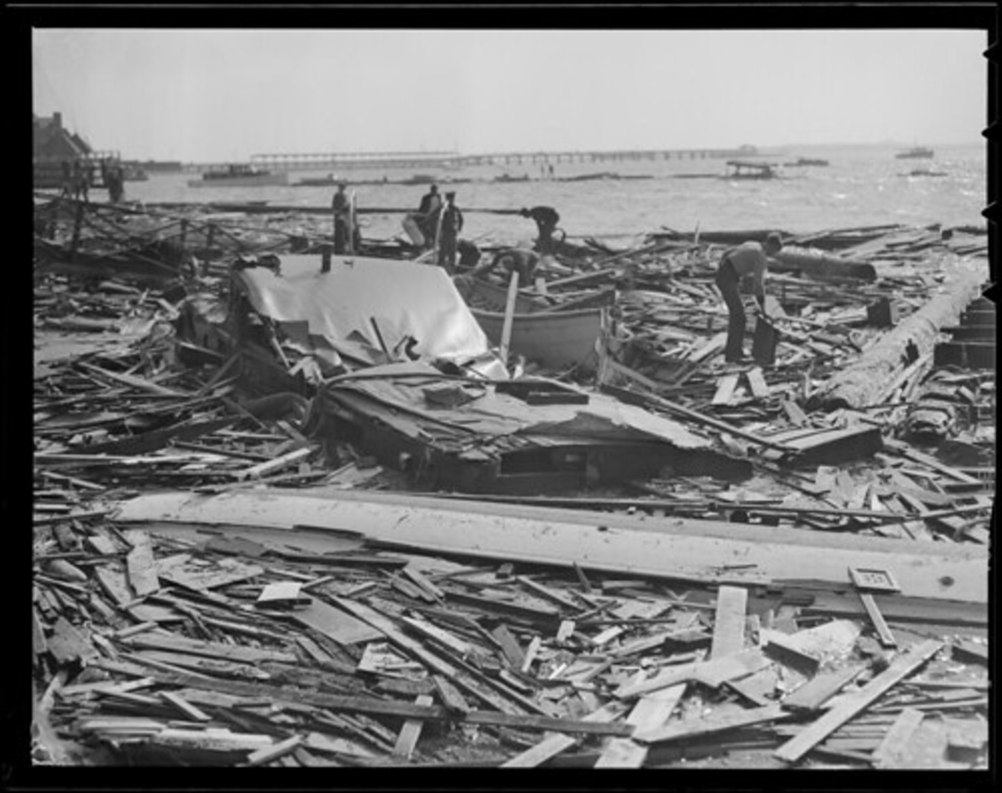 <p>Vegetation that is bent, broken and blown around by the force of the wind.</p>