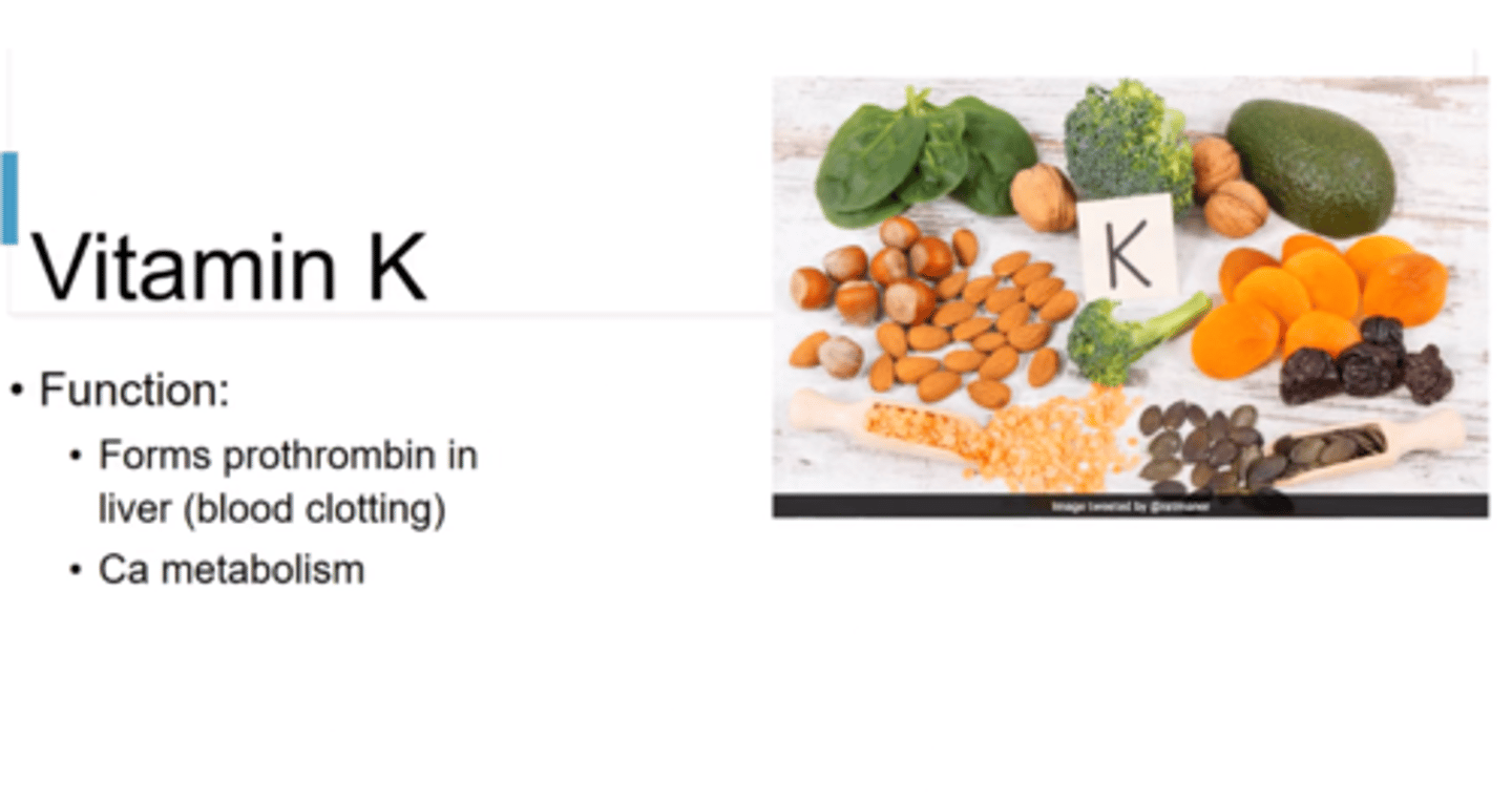 <p>Phylloquinone = dark leafy veg.</p><p>1) Broccoli</p><p>2) Dark green leafy vegetables</p><p>3) Kiwi</p><p>Manaquinones = animal products</p><p>4) Meat, Dairy, Eggs</p><p>5) Natto (Fermented soybeans)</p>