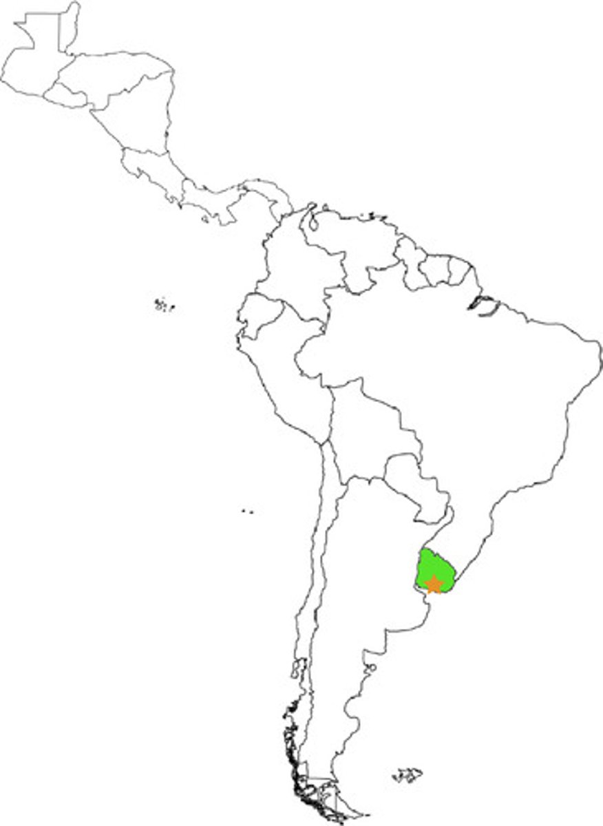 <p>montevideo</p>