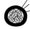 <p>ascocarpo sexual</p>