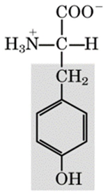 <p>recognize this structure</p>