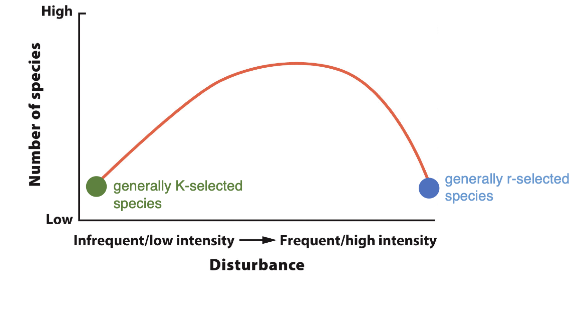 <p>what does this graph represent </p>