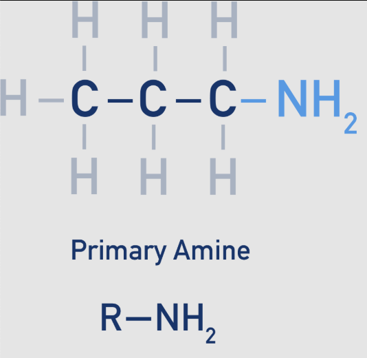 <p><span>nitrogen atom is bonded to one alkyl group (R) and two hydrogen atoms</span></p>