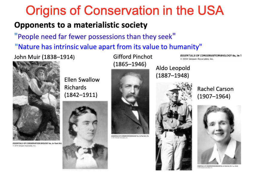 <p>Origins of Conservation in the U.S&gt;</p>