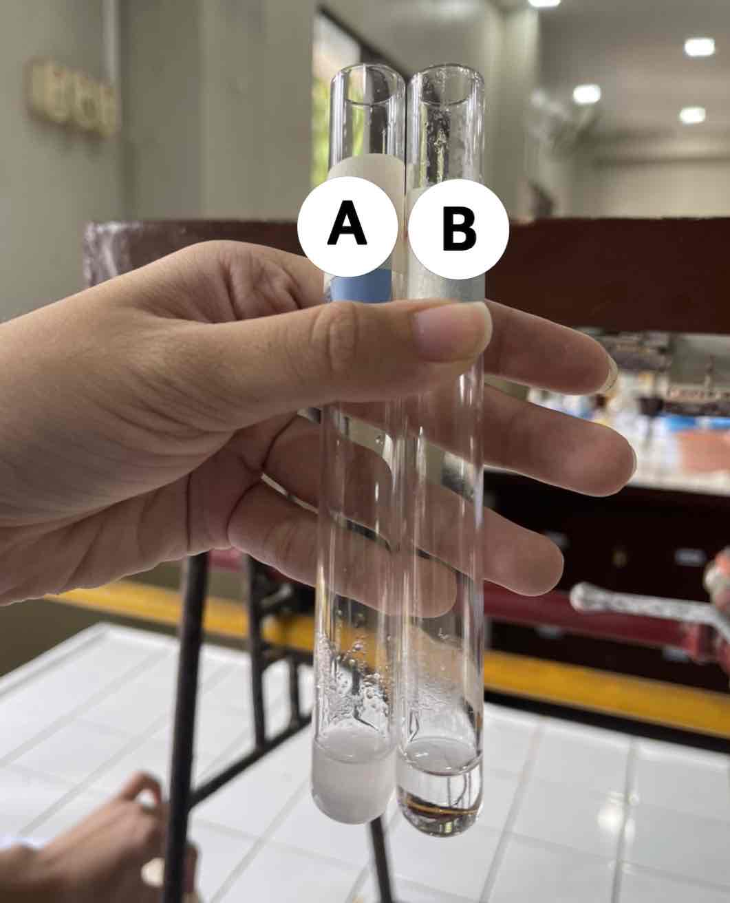 <p>product of test tube B </p>