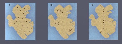 <p>(3) Types of Population Distribution</p>