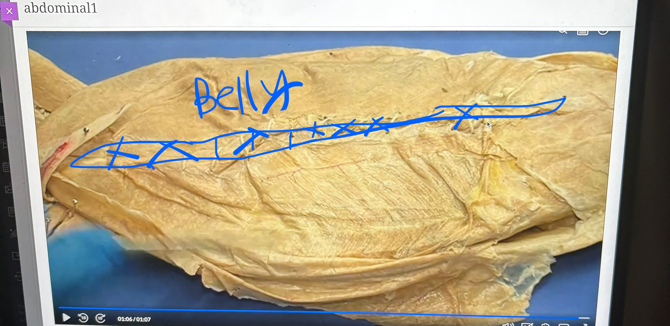 knowt flashcard image