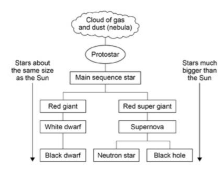 <p>Life cycle of a star (start to star)</p>