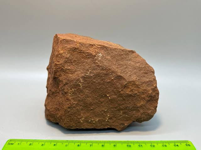 <p>Identify the sedimentary rock</p>
