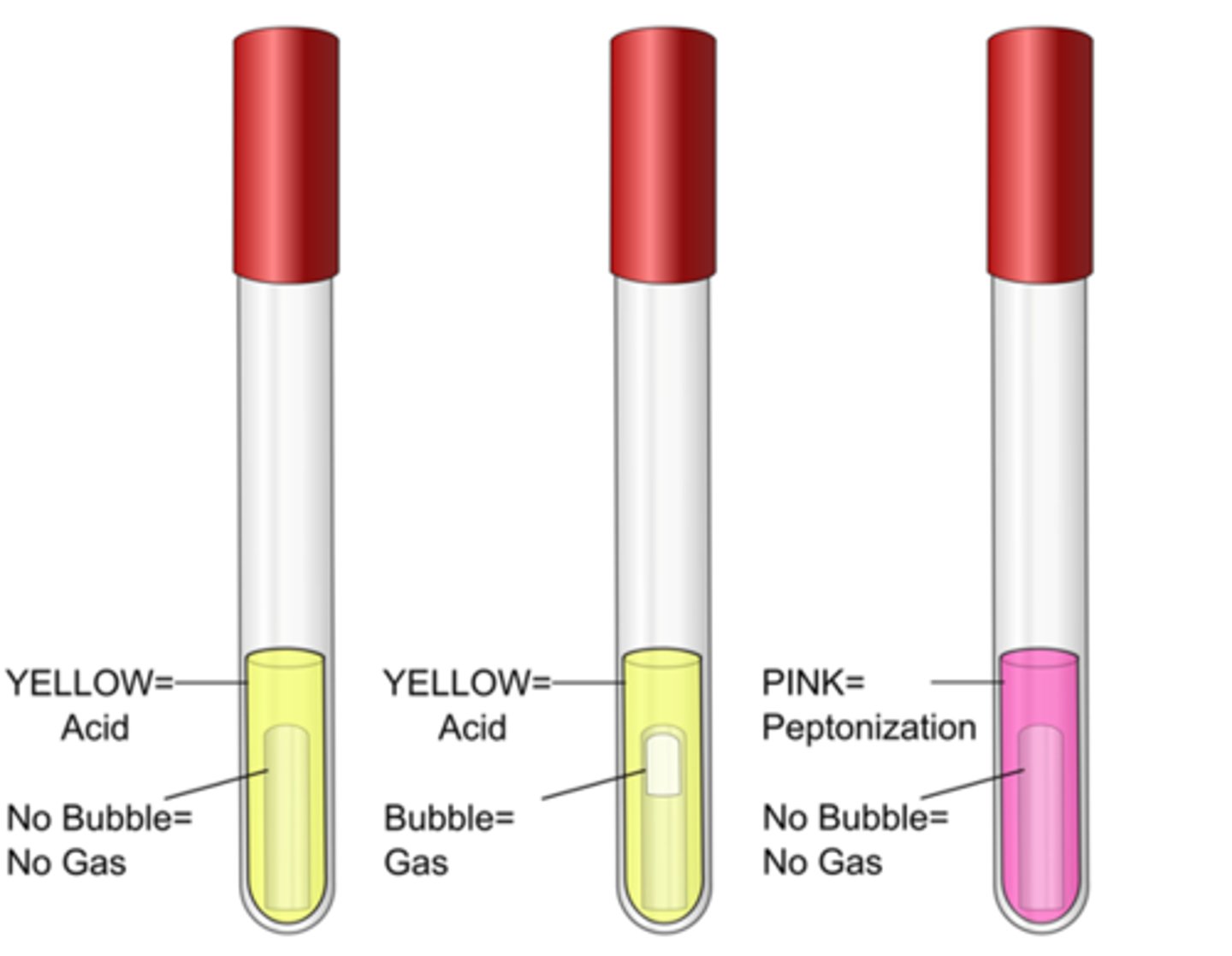 <p>These are the results for the</p>