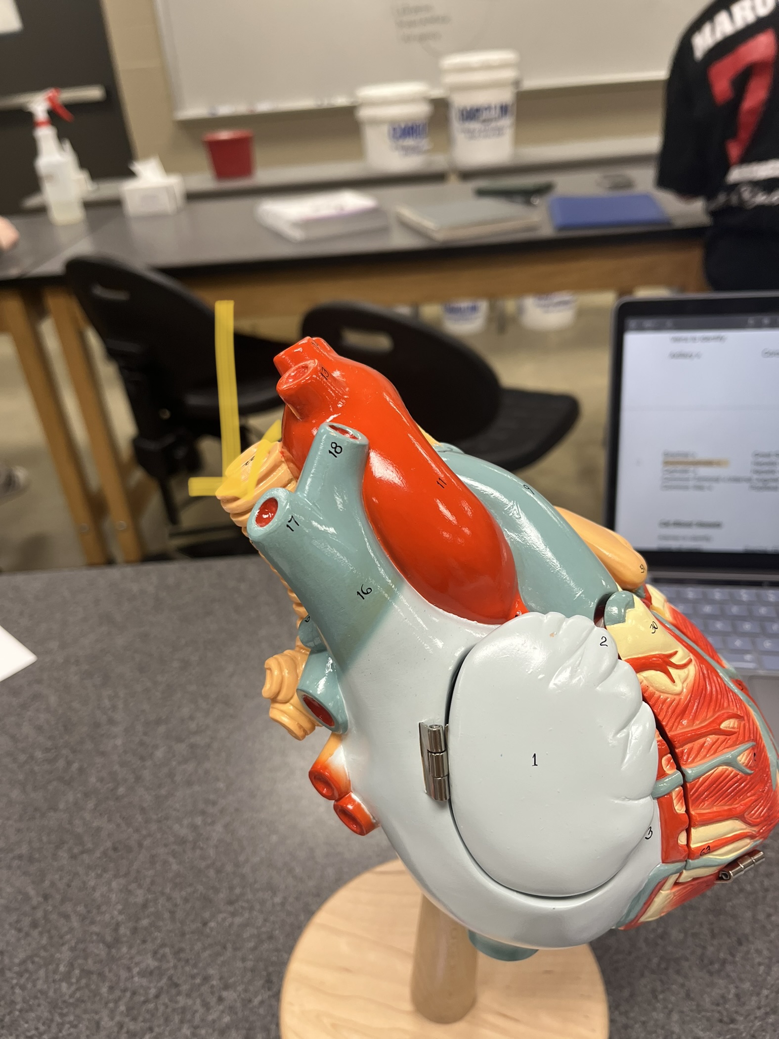 knowt flashcard image