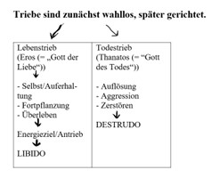 <p>Was für Triebgruppen gibts + wie sind Triebe?</p>