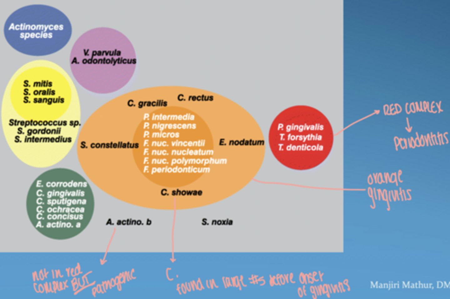 knowt flashcard image