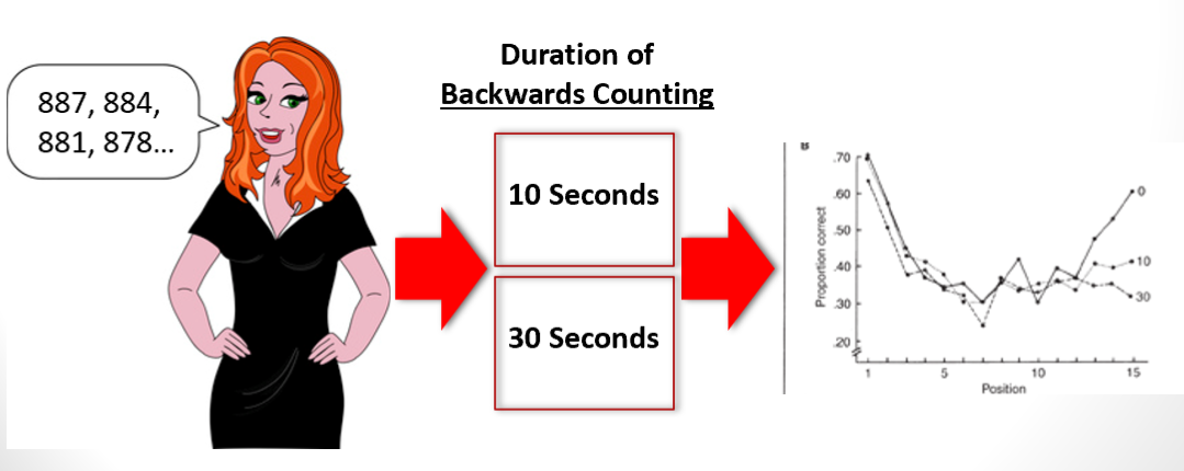 <p>Short-term memory retrieval → Types of recall → Serial position curve explanations</p><p>________________ -<strong> </strong><span><strong>Interference task wipes out the recency effect, but not the primacy effect</strong></span></p>