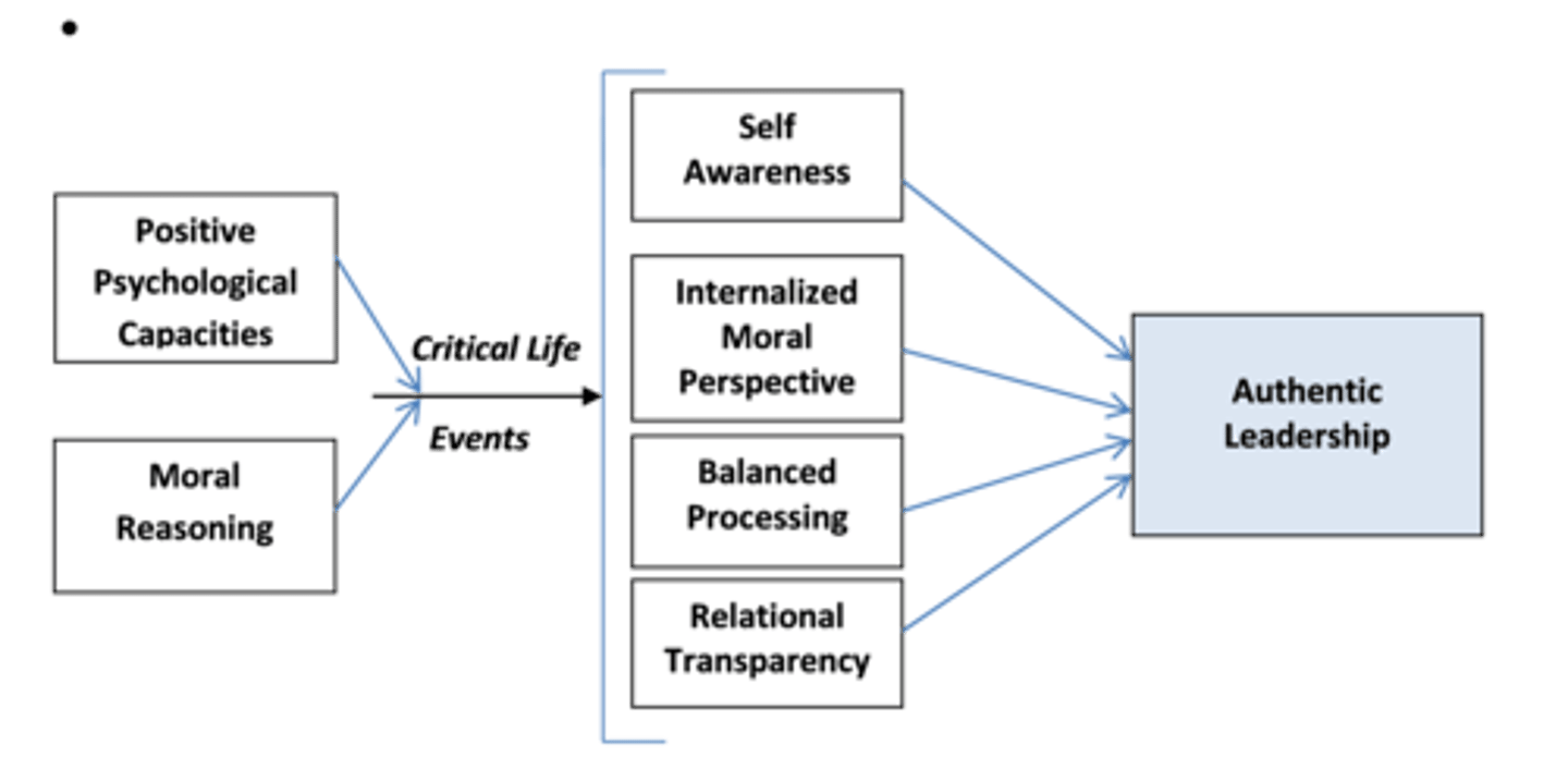 <p>Views that authentic leadership can be nurtured, not a fixed trait. Develops over life and is triggered by critical life events.</p>