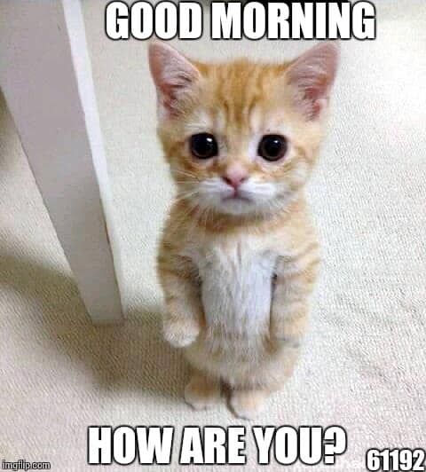 <p>Godmorgen (gud-mourn)</p>