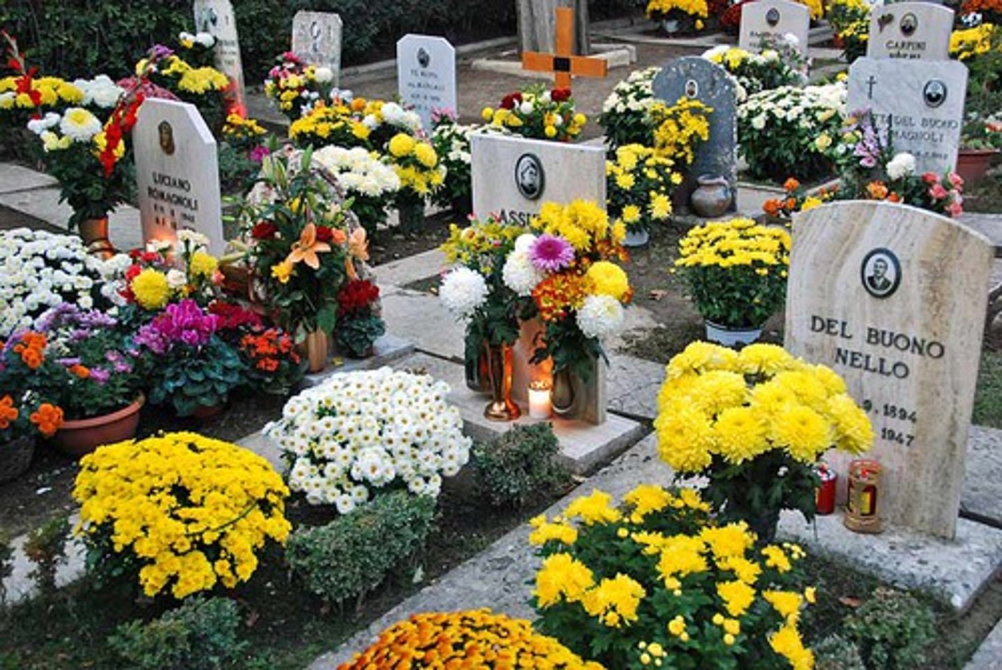 <p>they are dead / they died</p>