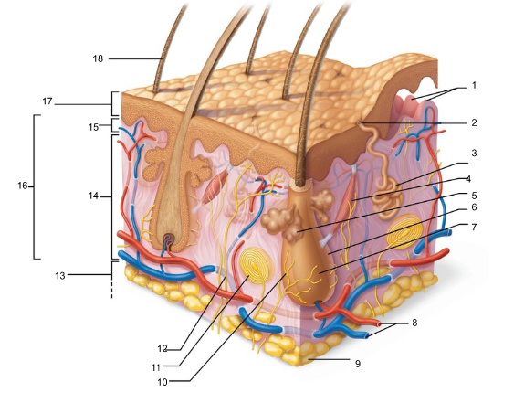 <p>6</p>