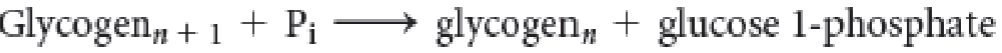 <p>Is this reaction showing glycogen synthesis or degradation?</p>