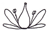 <p>Position of ovary?</p>