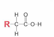 carbonyl group flanked by hydroxyl and hydrocarbon carbon