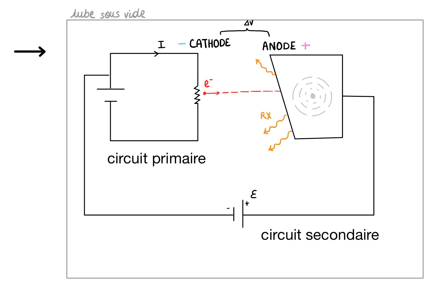 <p>1) Le courant provoque un échauffement du filament de tungstène par effet Joule : L’énergie électrique s’est transformée en énergie thermique → <strong>Circuit primaire</strong></p><p>2) Des e- sont émis par effet thermoionique : ils sont accélérés sous une différence de potentiel V établie entre un cathode et une anode. L’énergie potentielle des e- est ainsi transformée en énergie cinétique → <strong>Circuit secondaire</strong></p><p>3) Les e- percutent la cible que constitute l’anode sur une zone qui s’étend sur quelques dixièmes de mm. L’impact provoque l’<strong>émission de rayons X.</strong></p><p><strong>→ </strong>Ils sont produits dans toutes les directions. Le rayonnement, étant <strong>polychromatique</strong>, est composé de différentes énergies et donc différentes fréquences.</p>