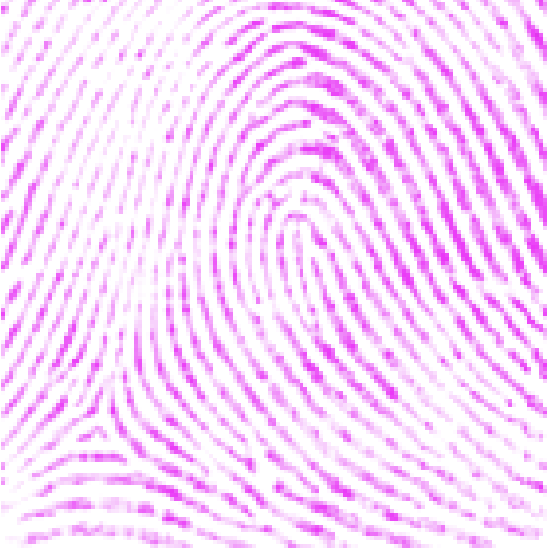<p>left hand</p>