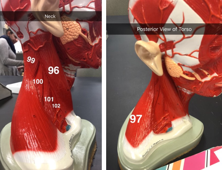 <p>what is number 97</p>