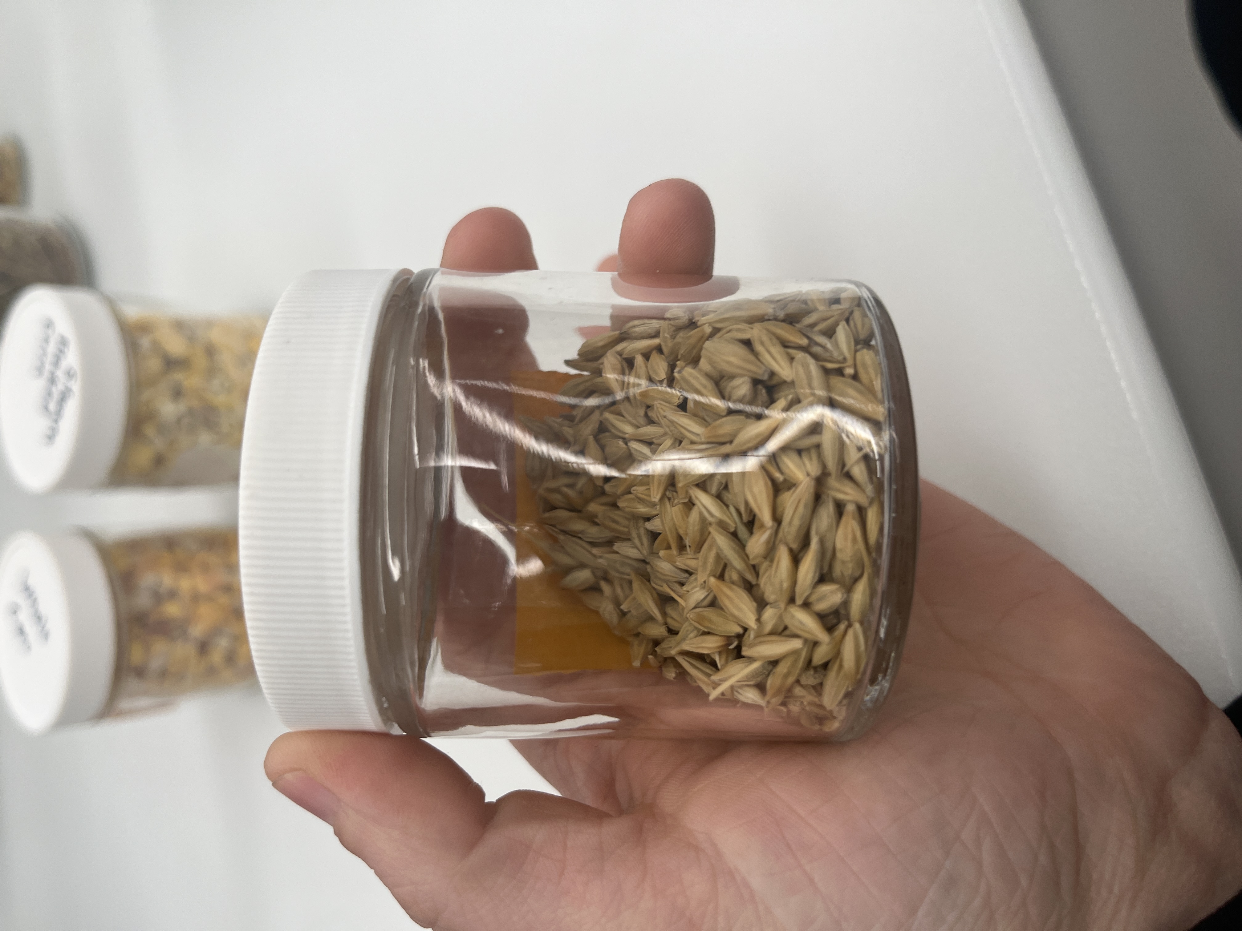 <p>what feed is this?</p>