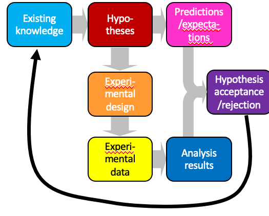 <p>hypothesis-based science</p>