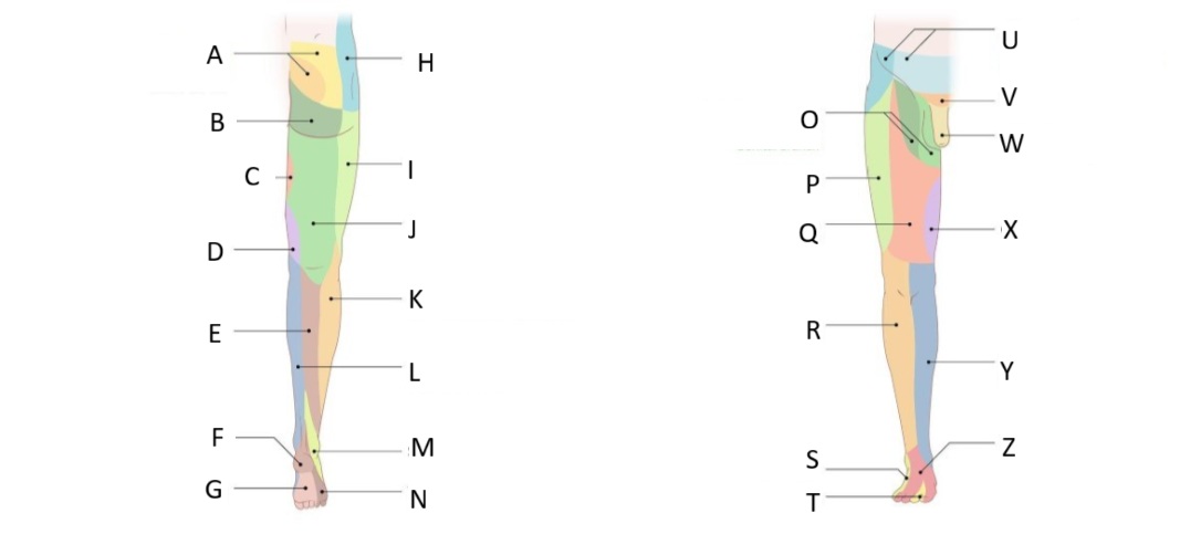 <p>X</p>