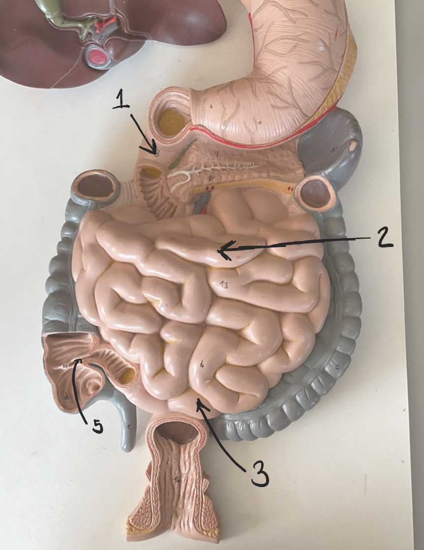 <p>3</p>