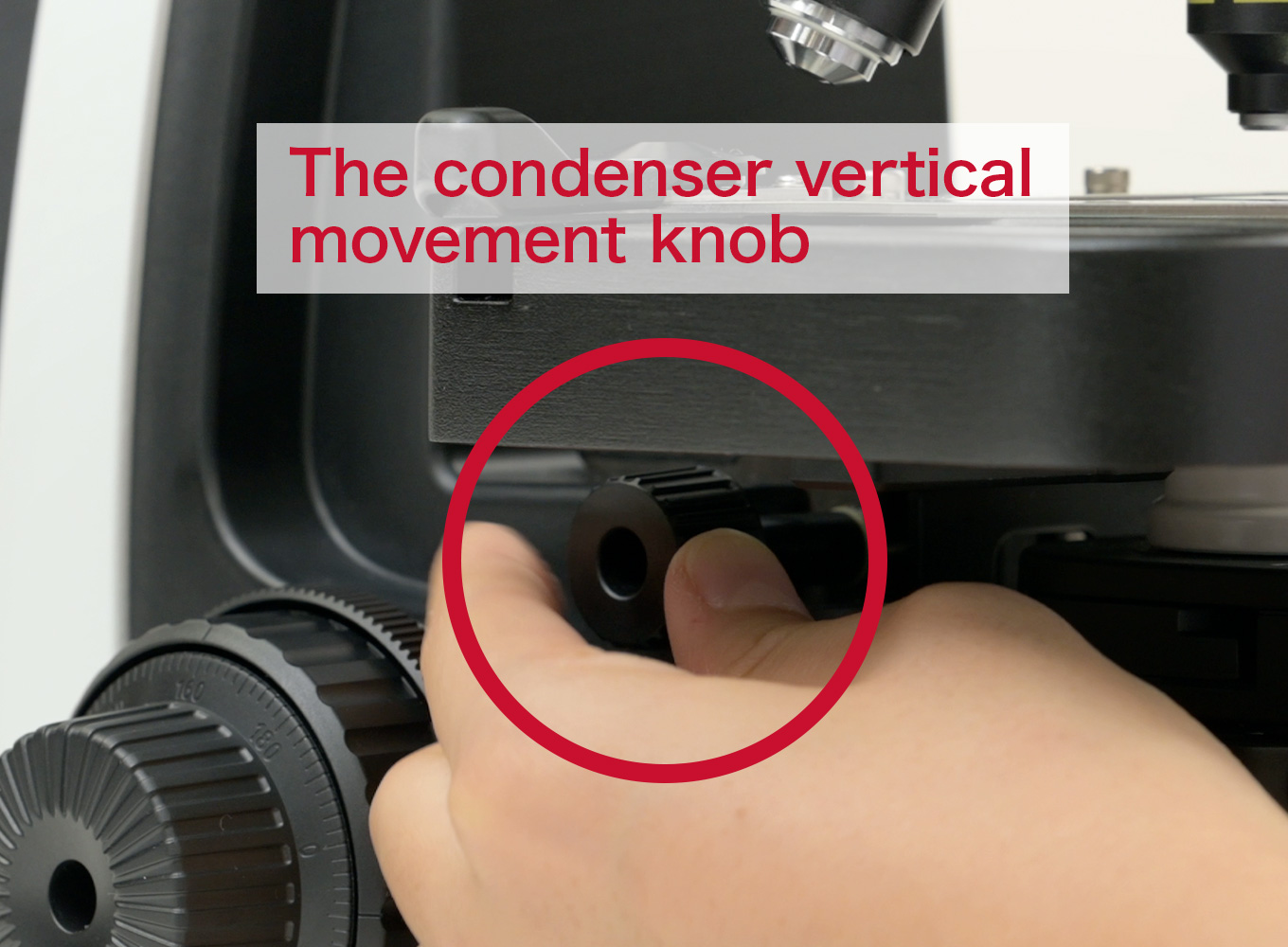 <p>This is the knob on the side beneath the stage that adjusts the beam of light up or down</p>