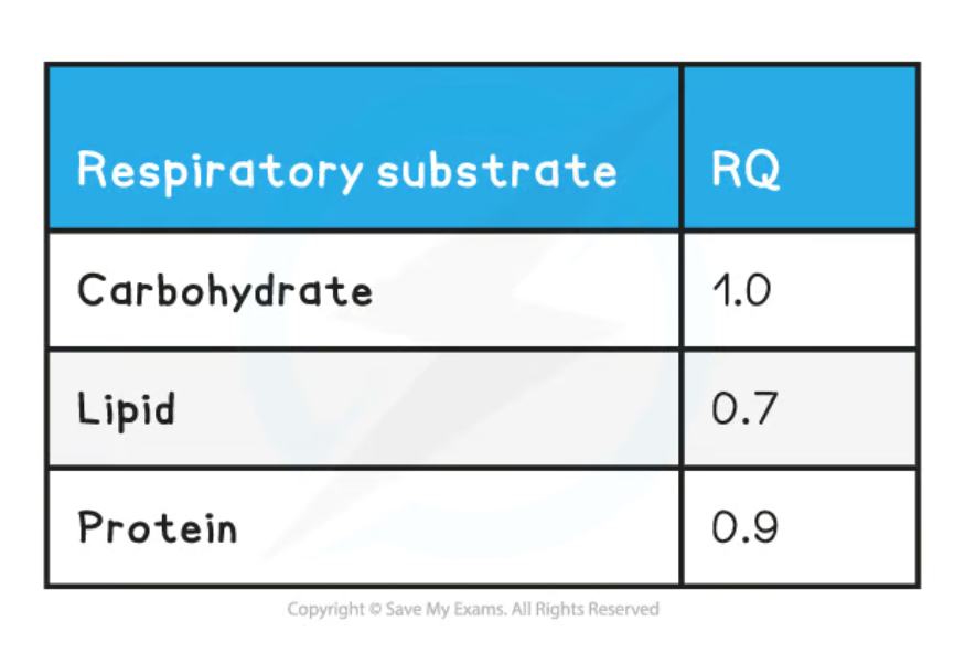 <ul><li><p>Fats = 0.7 (more oxygen is needed for complete oxidation)</p></li><li><p>Proteins = 0.9</p></li></ul><p></p>