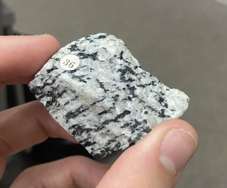 <p>Black streaks/lines, not many dots, Foliated, lines are difference from syenite, <strong>Metamorphic</strong></p>