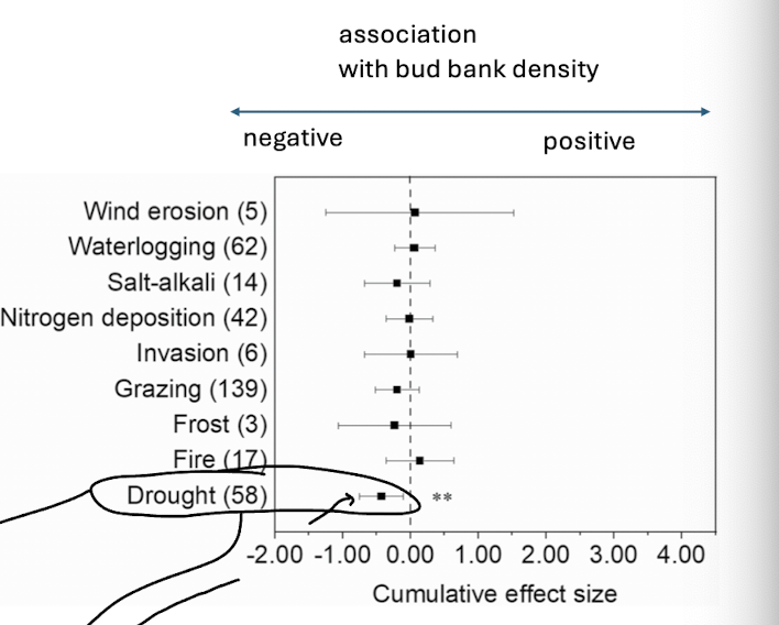 <p>positive association is predicted, but meta analysis showed otherwise</p><p>no significant results, except a negative…</p><p>consider resource allocation, what is more costly under periods of stress - survival not reproduction, or perhaps regeneration rather than supporting buds</p><p>missing water availability and bud bank density controlled…</p>