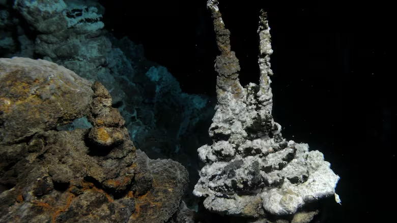 <p>Obligate Anaerobes = Are obligated to live without oxygen, and cannot survive with oxygen. They only use anaerobic respiration to live.<br>Example: Deep sea microbes, these are bacteria that live in oxygen-free soil<br><br>Facultative Anaerobes = Prefer to use Aerobic Respiration, but can also use Anaerobic respiration if forced to; </p><p>Example: Yeast (oxygen supply runs out in the oven) and E-Coli</p><p></p><p>Obligate Aerobes = Are obligated to use oxygen in cellular respiration, cannot survive without oxygen</p><p>Example: Almost all animals, fungi, and bacteria (including the tuberculosis bacteria)</p>
