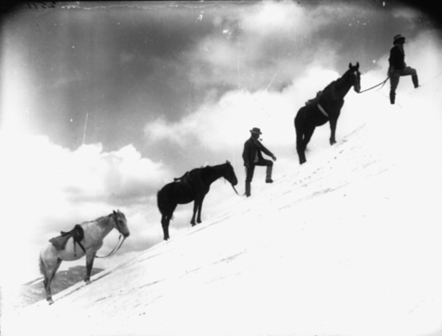 <p>They/You all went up (subir)</p>