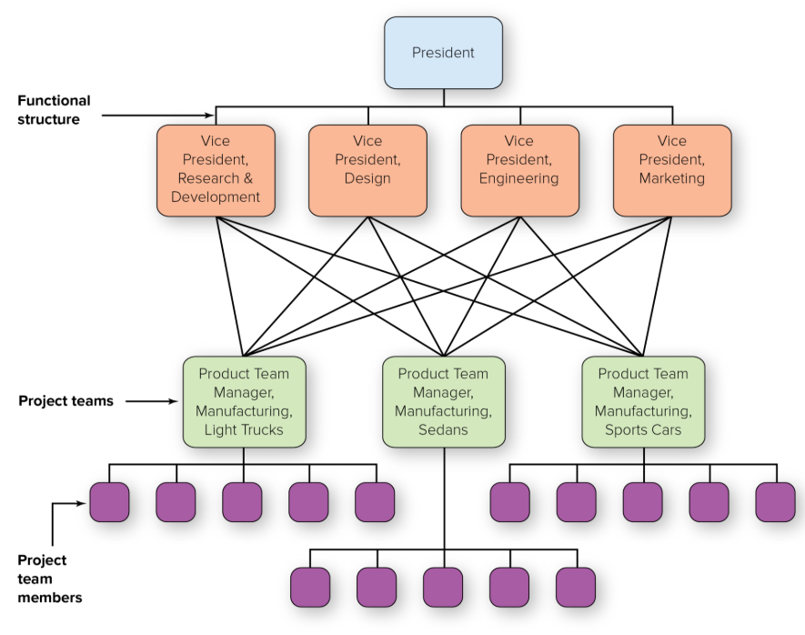 <p>Also called team-based design, teams or workgroups, either temporary or permanent, are used to improve collaboration and work on shared tasks by breaking down internal boundaries</p>