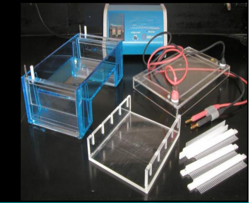 <p>electrophoresis apparatus is formed of what parts </p>